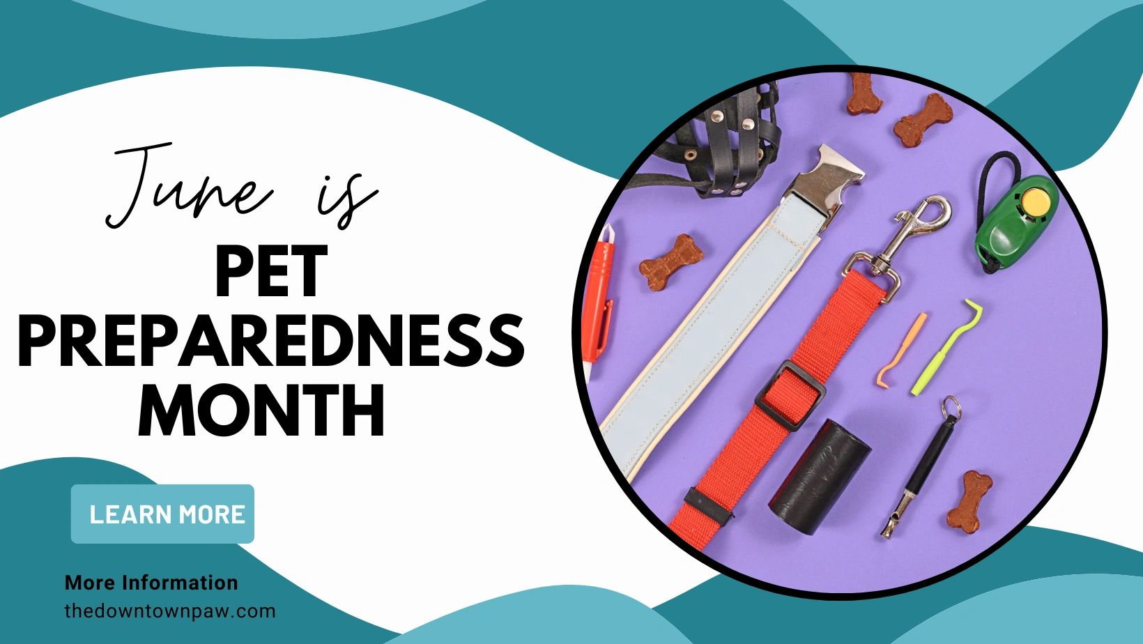 The Downtown Paw Dog Daycare & Grooming Malden, Massachusetts